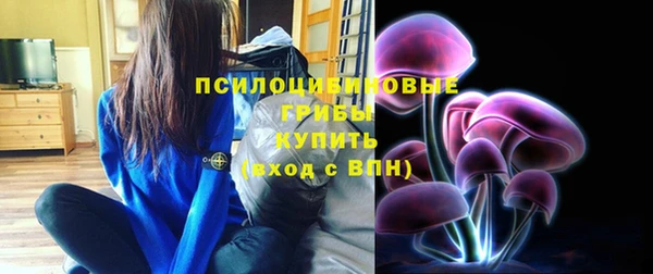 PSILOCYBIN Белоозёрский