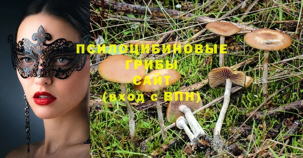 эйфоретик Беломорск
