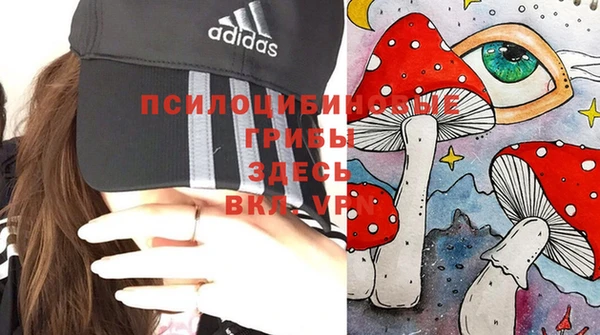эйфоретик Беломорск