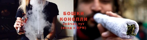 mdpv Белокуриха