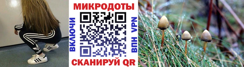 Галлюциногенные грибы Magic Shrooms  shop клад  Малая Вишера 