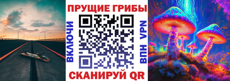 Галлюциногенные грибы GOLDEN TEACHER Малая Вишера