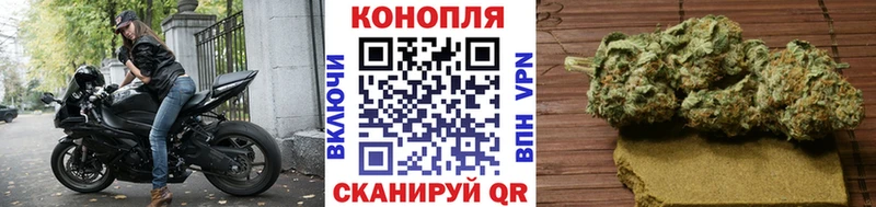 Канабис OG Kush Малая Вишера